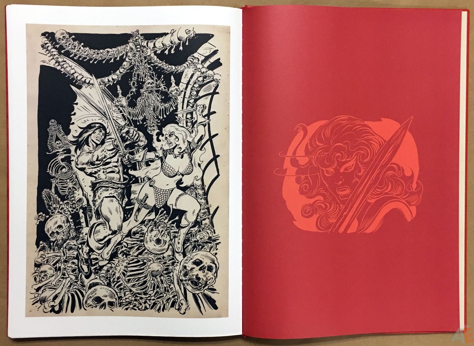 Frank Thorne's Red Sonja Art Edition Volume 1