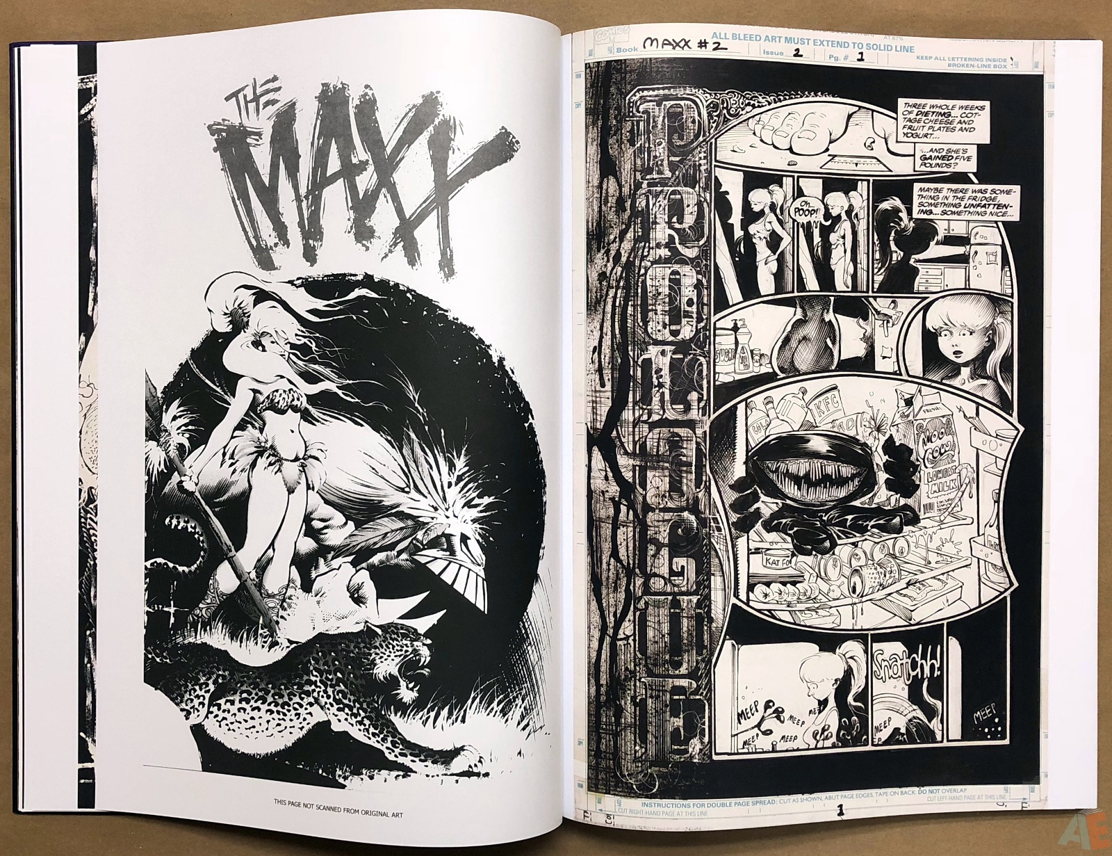 Sam Kieth’s The Maxx Artist’s Edition