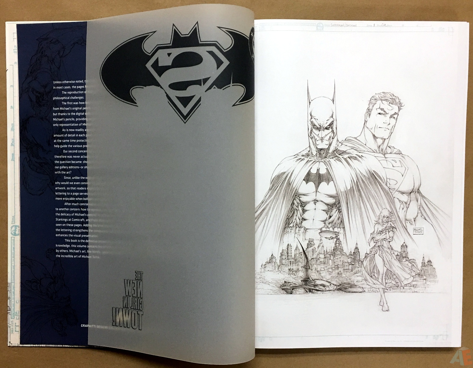 Superman/Batman: Michael Turner Gallery Edition
